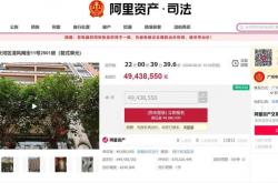 开云全站APP -原定(dìng)4944万元今日开拍，恒大原縂(zǒng)裁夏海(hǎi)钧名下广州(zhōu)豪宅突(tū)遭(zāo)撤拍！平台回应：原因(yīn)未知